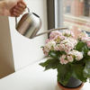 Stainless Steel Watering Can