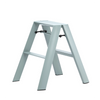 2-Step Stool