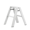 2-Step Stool